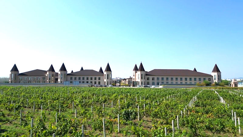 【芬河帝堡】东宁融媒报道：芬河帝堡葡萄酒产业园（三期）项目加速推进 赋能我市文旅产业加速升级